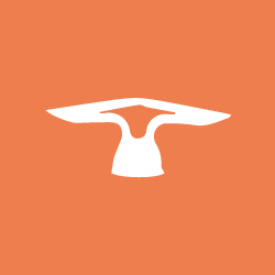 cavity fixings for plasterboard